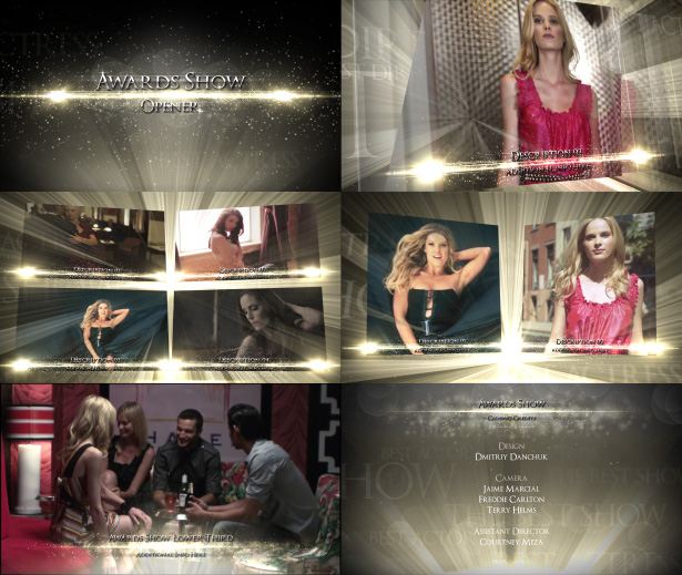 周年纪念颁奖典礼奖项展示