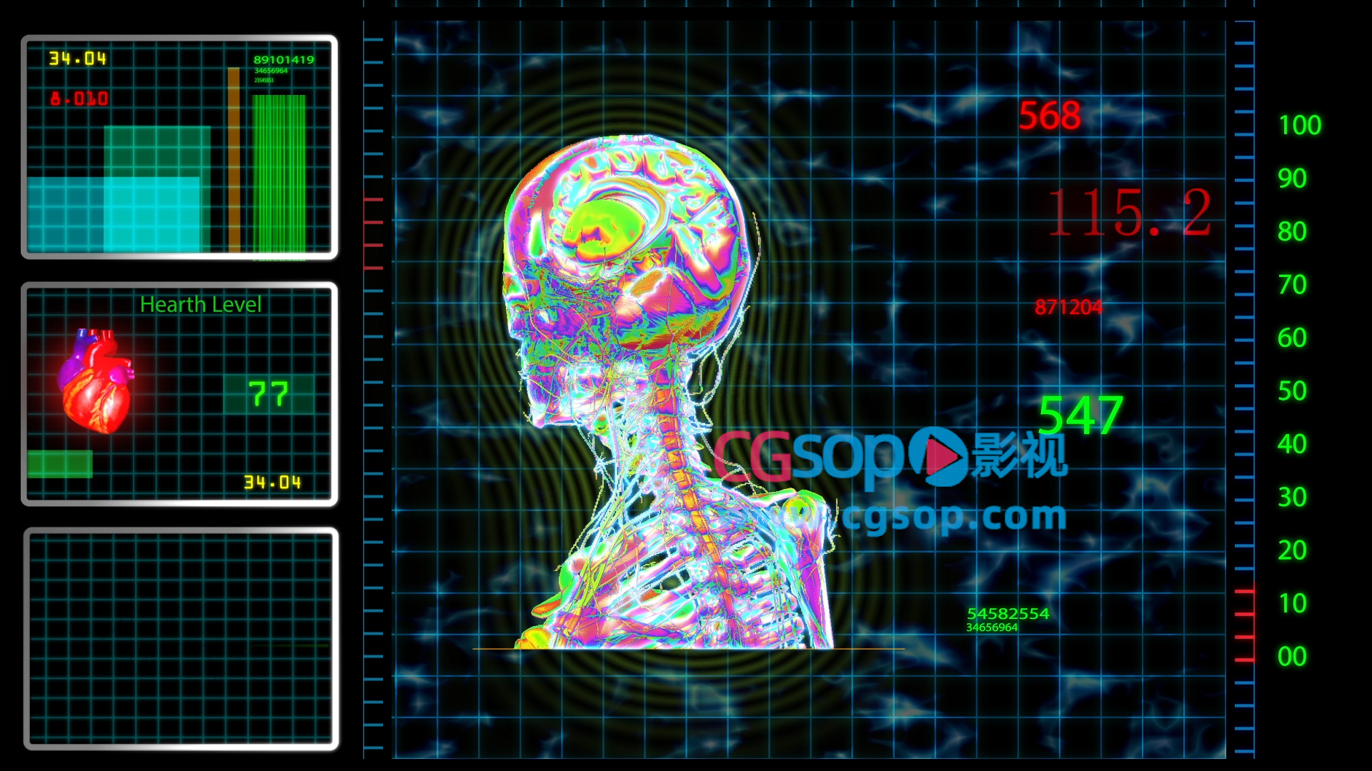 人体头部透视信息展示