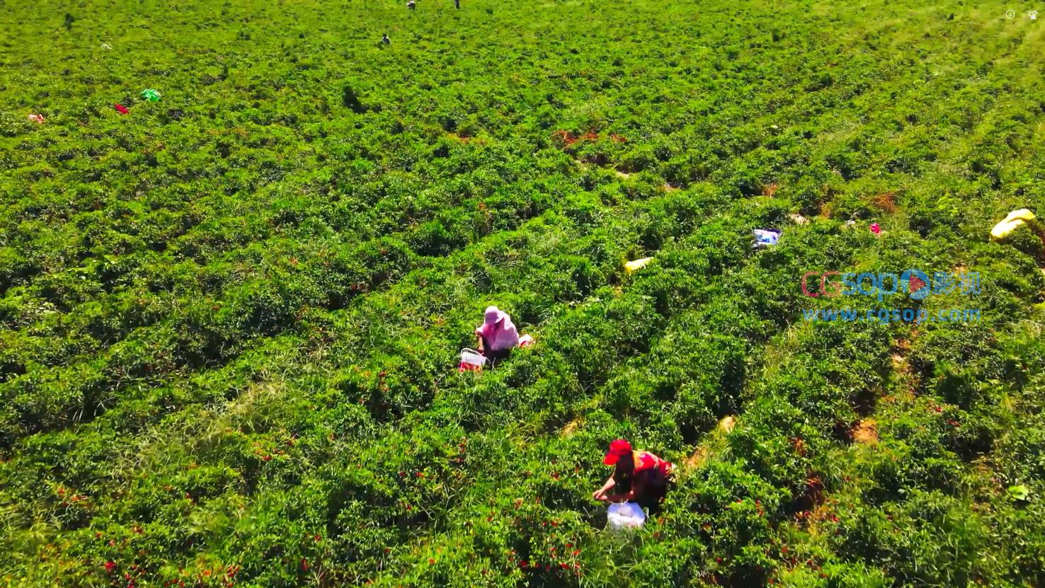 新农村脱贫致富乡村振兴