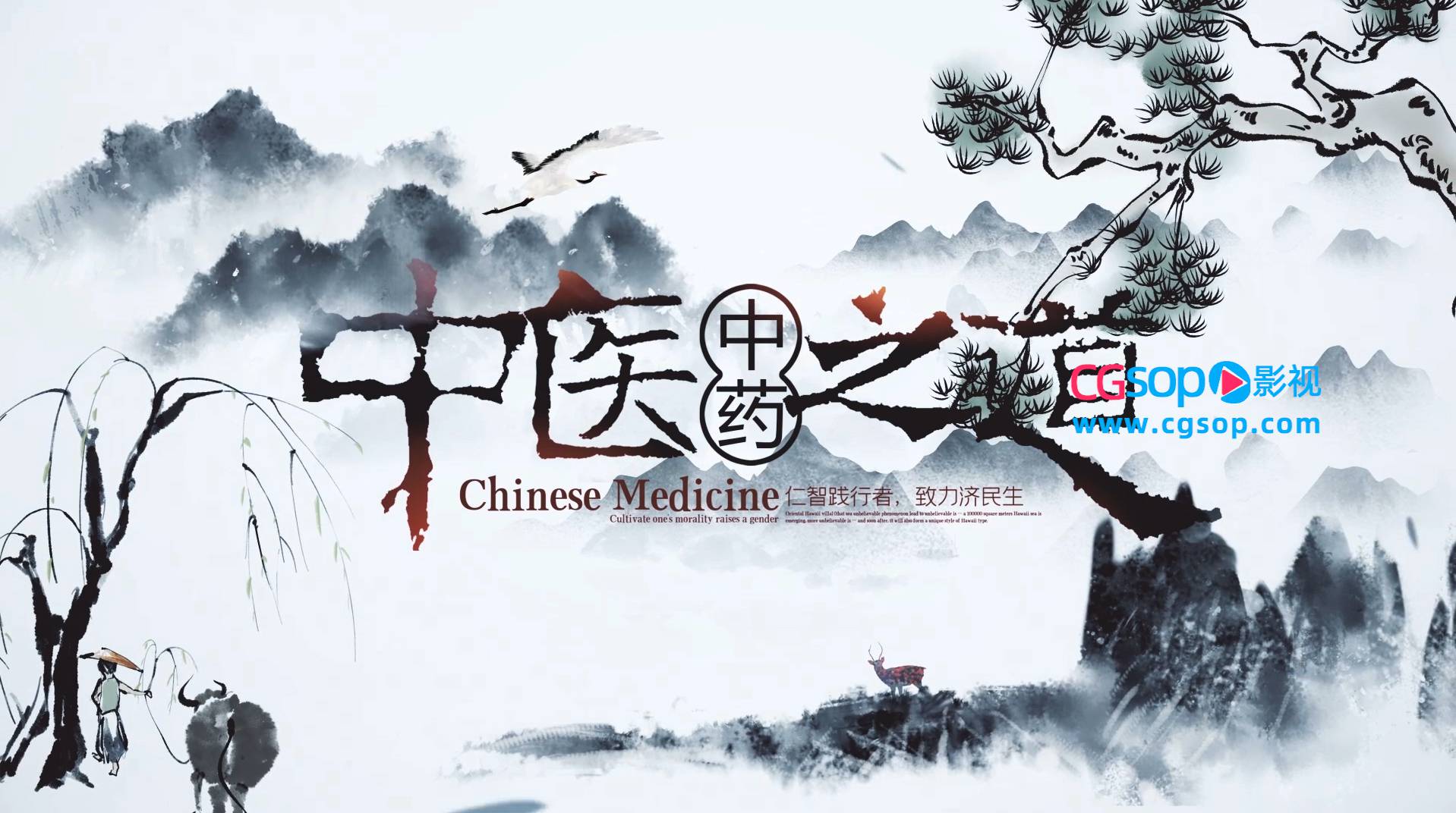 国风传统中医药历史文化传承宣传AE模板