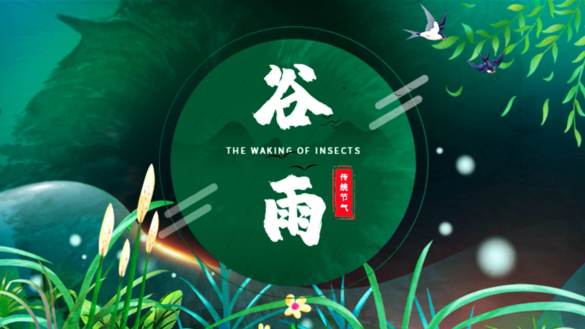 二十四节气谷雨卡通动画AE模板