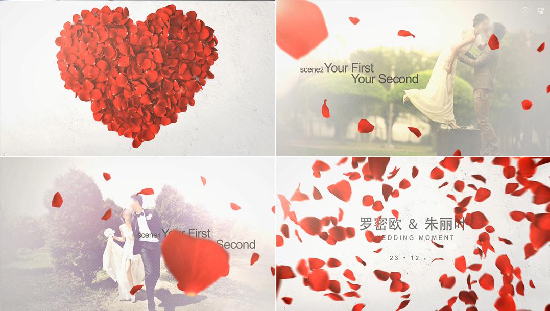 玫瑰花瓣婚礼爱情片头