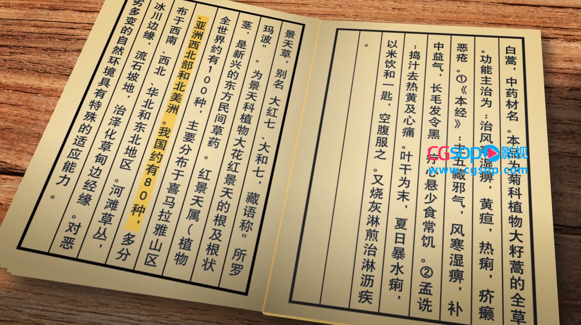 古书本草纲目翻页无插件AE模板