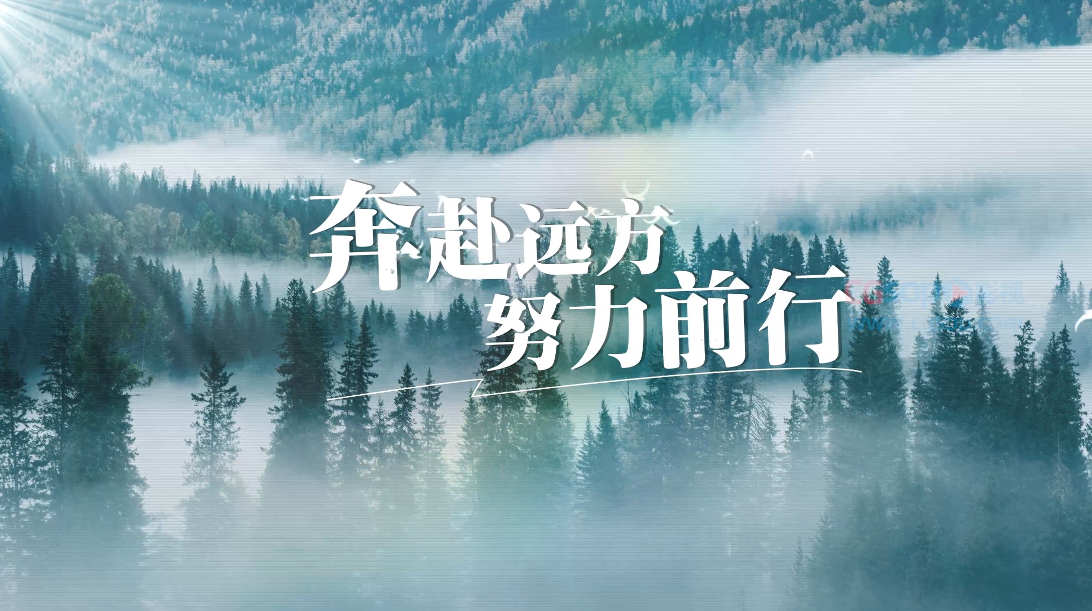 大气简单的森林光影文字标题动画