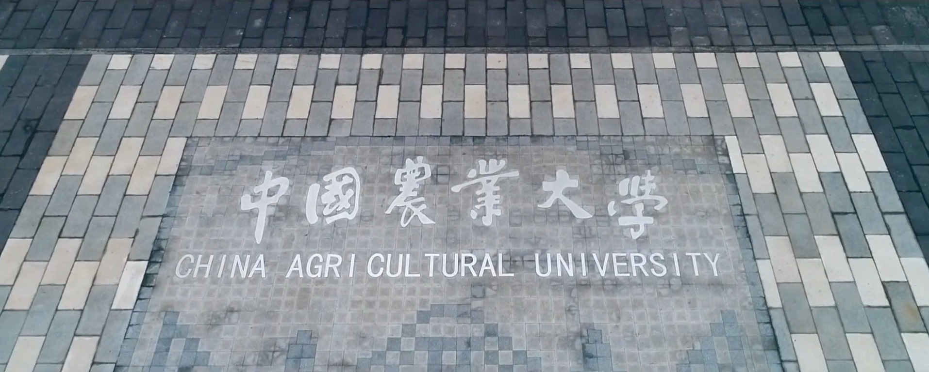 中国农业大学-康奈尔大学合作办学项目