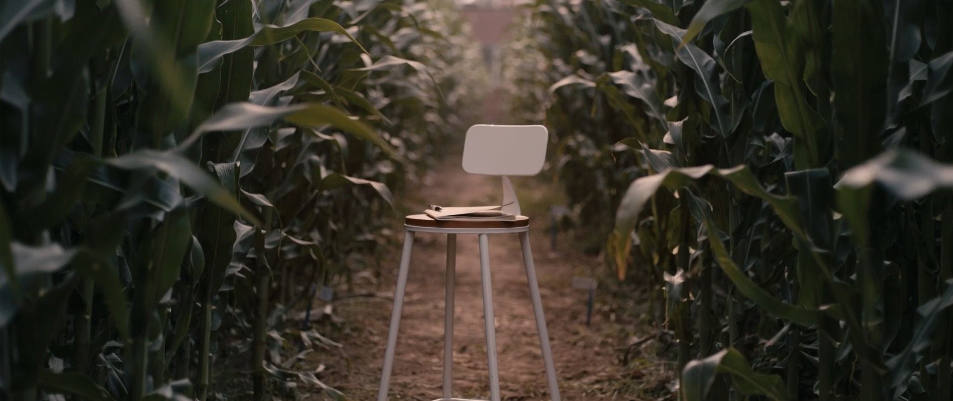 中国农业大学｜国际人才招聘「Here is where it begins」