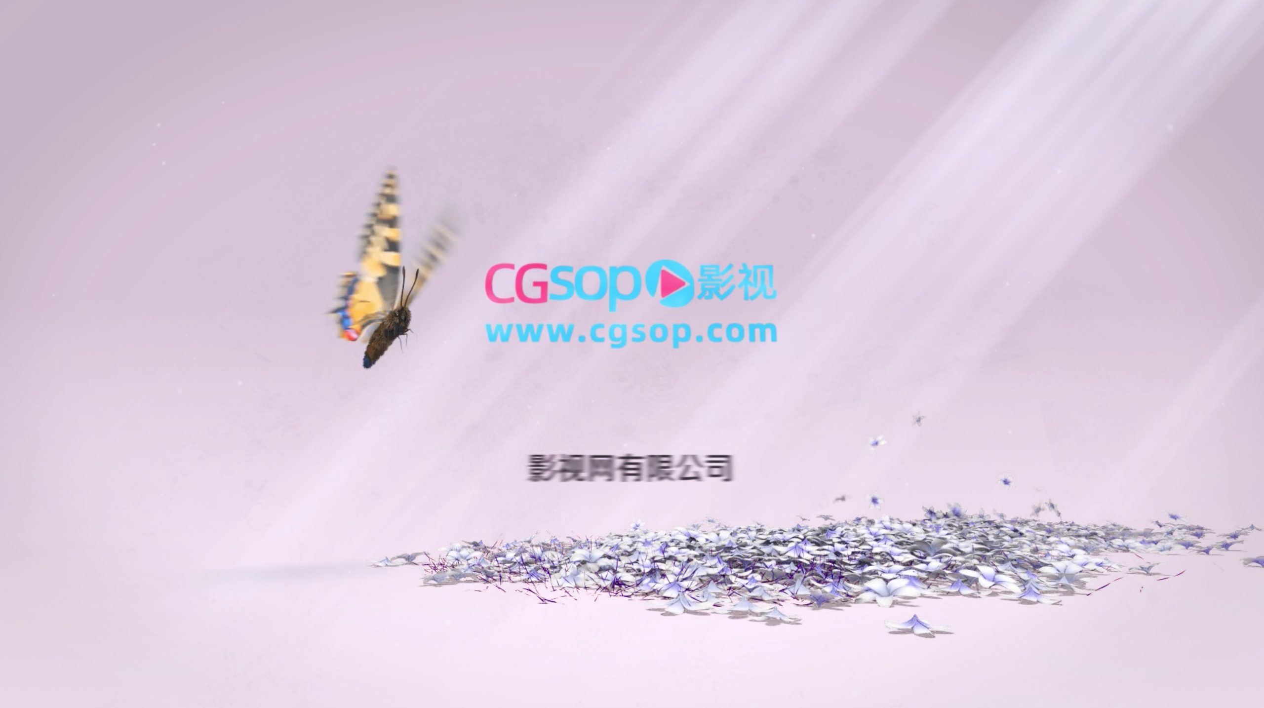 logo花瓣蝴蝶片头AE模板