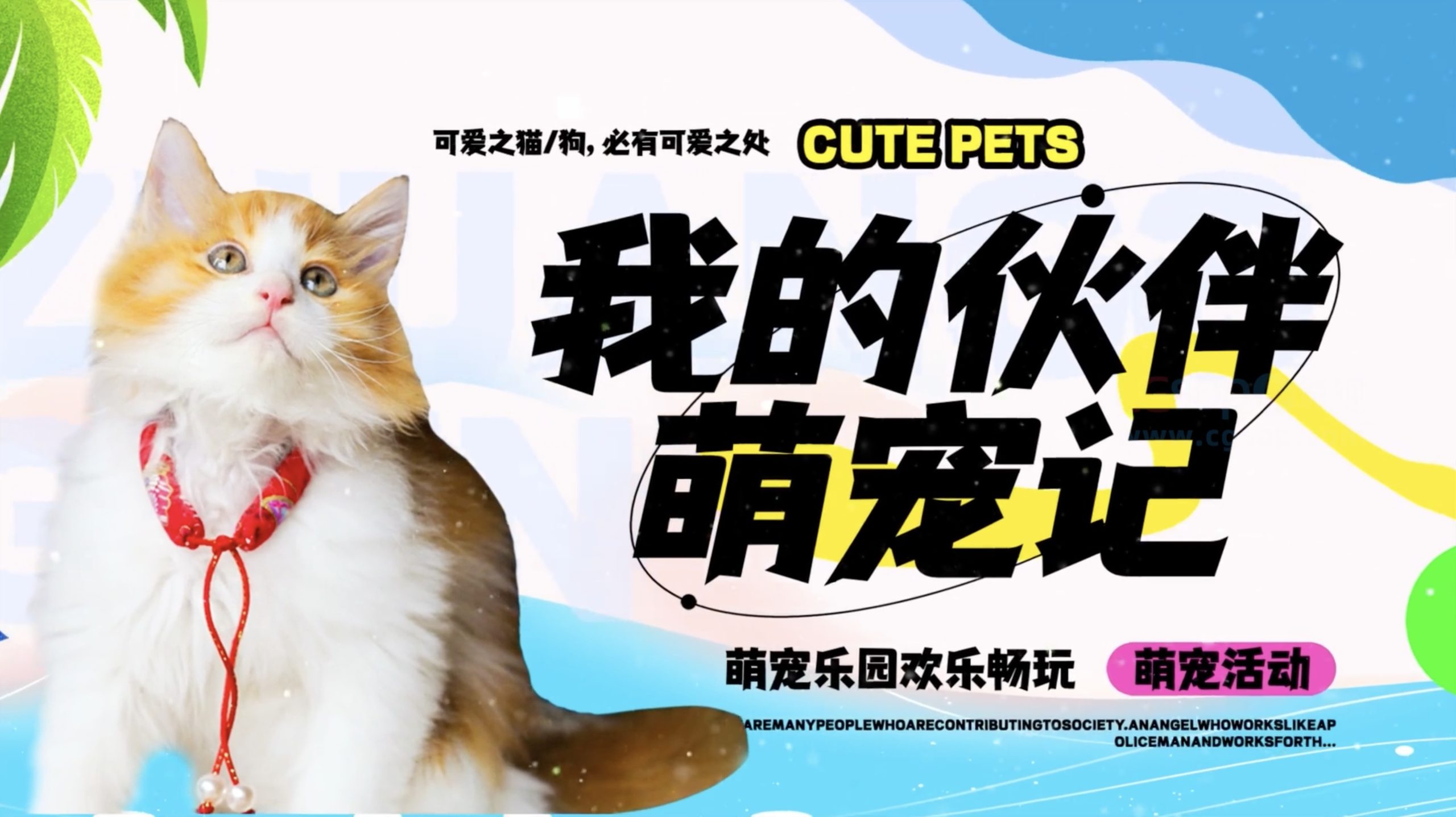 创意卡通宠物图文AE模板