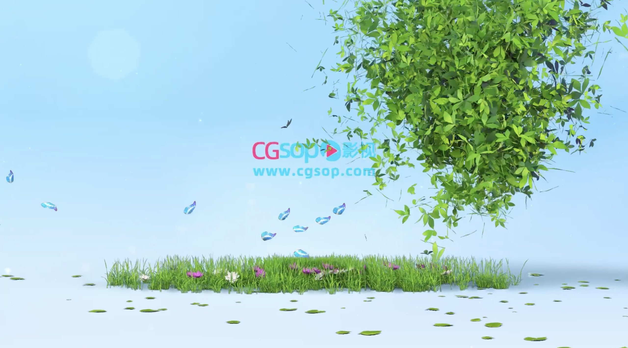 logo植物动画片头AE模板