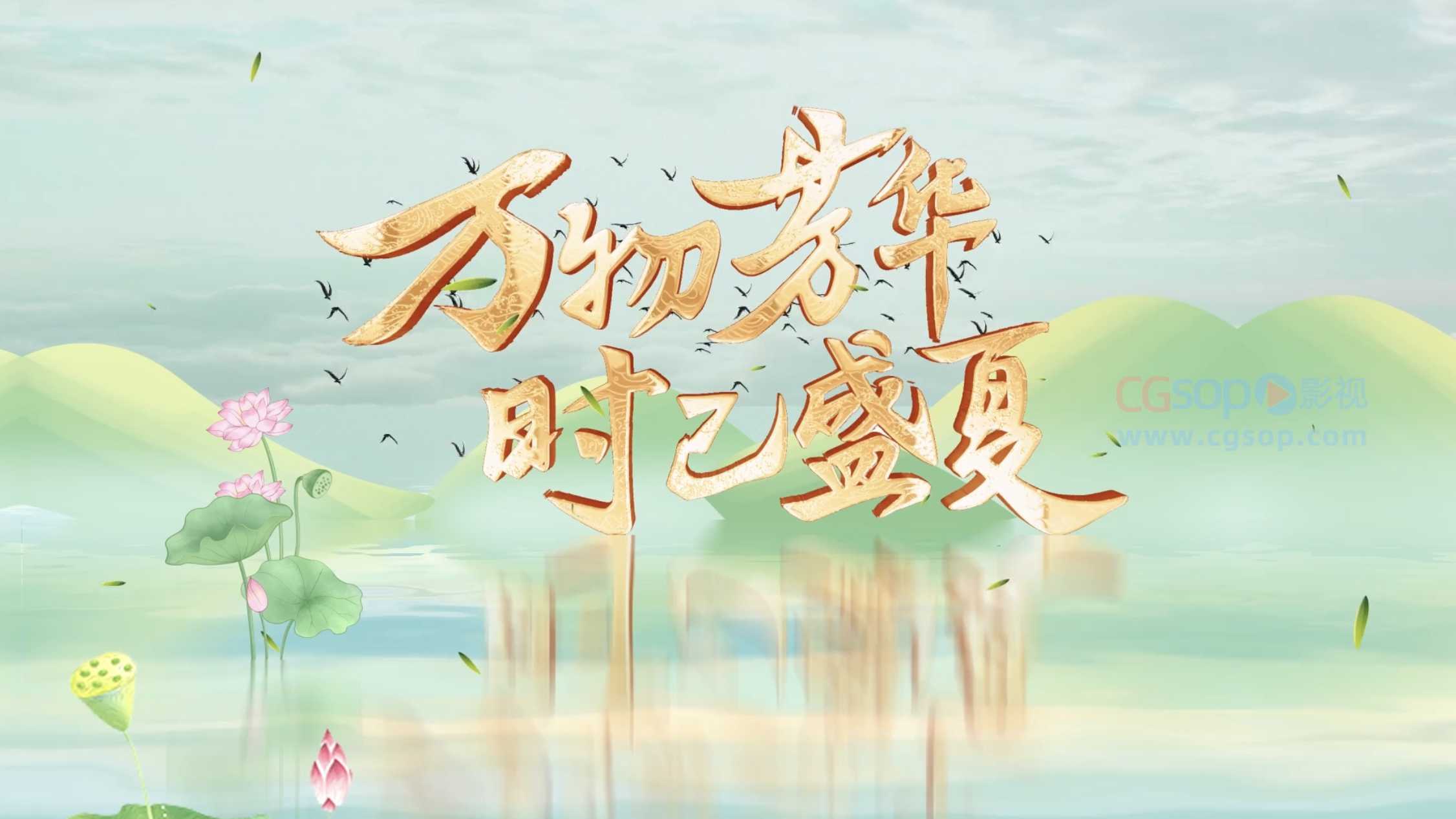 节气大暑AE模板