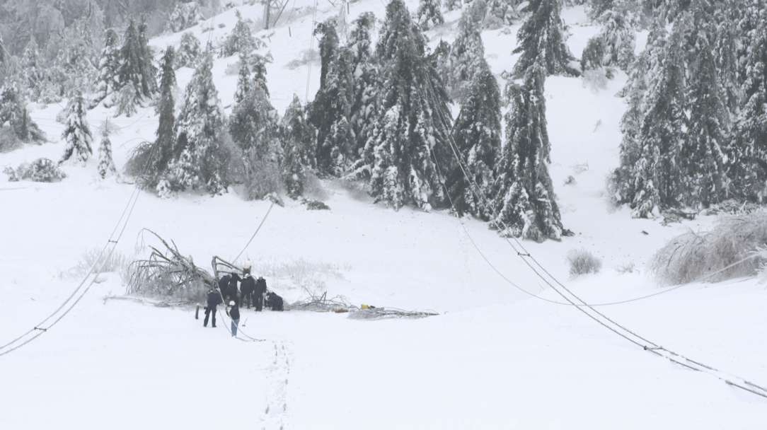电力保障人员修理损坏的电线杆