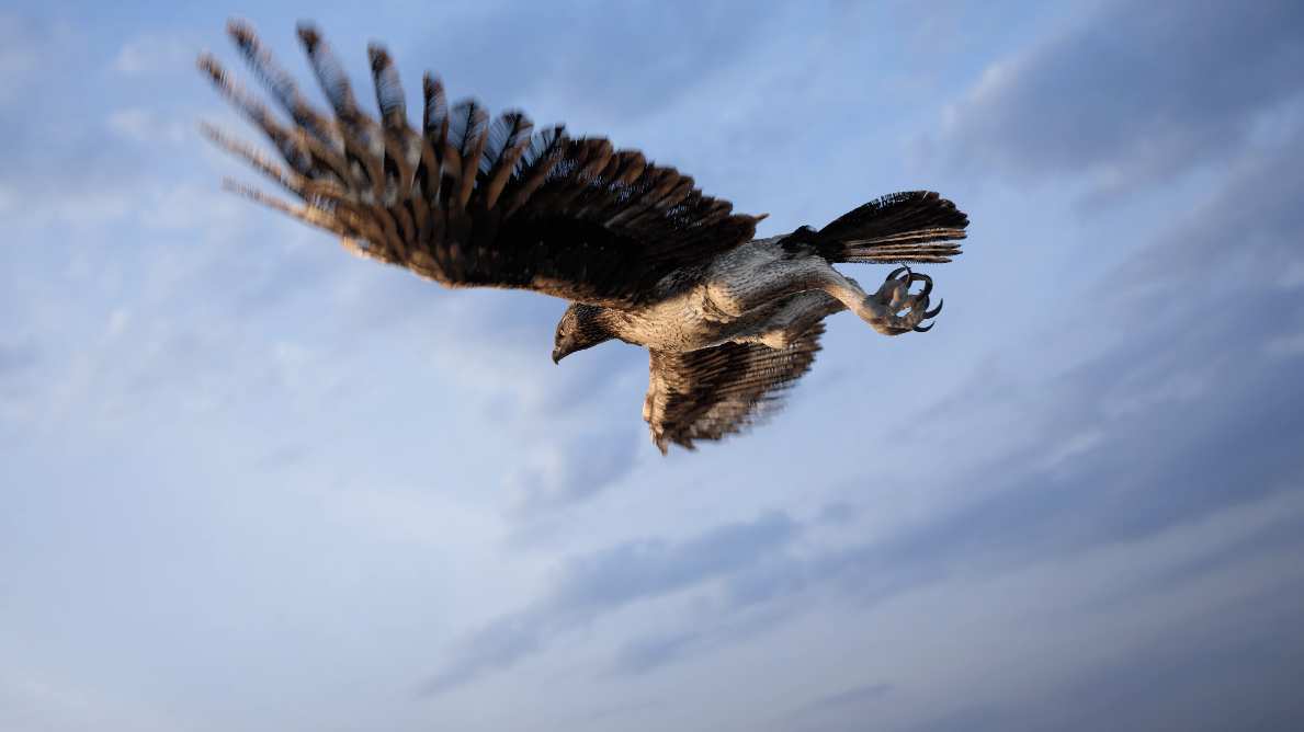 老鹰雄鹰翱翔鹰击长空雪山山峰励志梦想