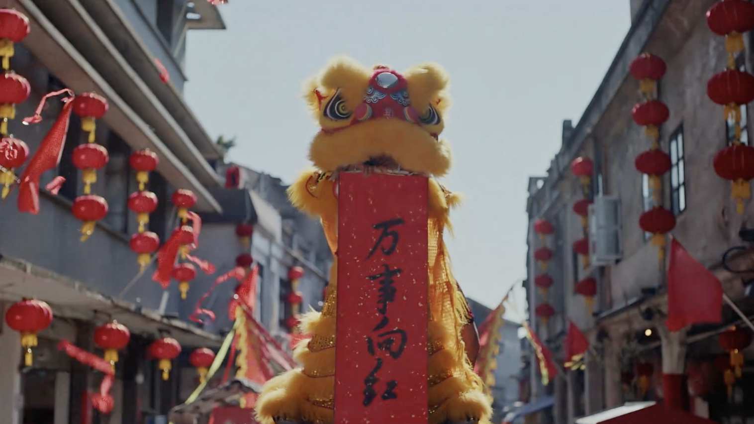 红旗汽车 CNY-DIR