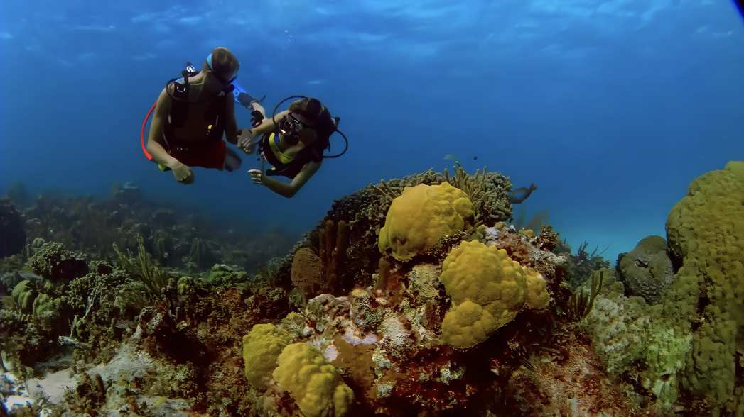情侣海底探索潜水运动探险爱好者