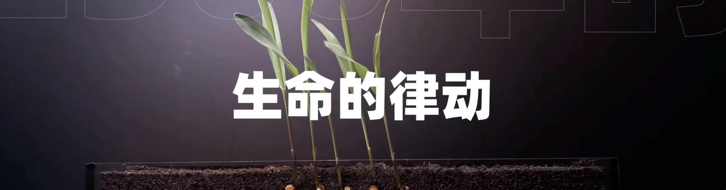 开场快闪文旅科技人文农业超宽屏