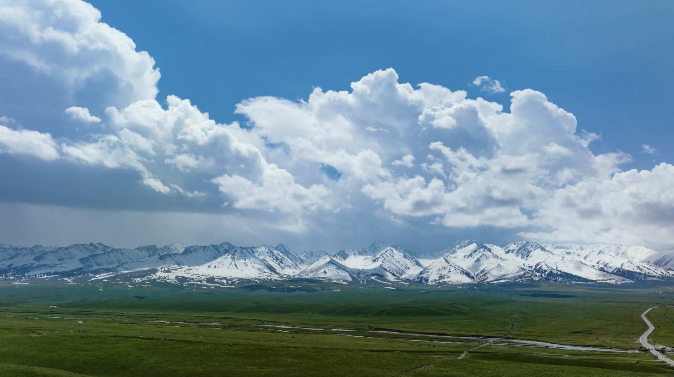 新疆伊犁草原雪山风景