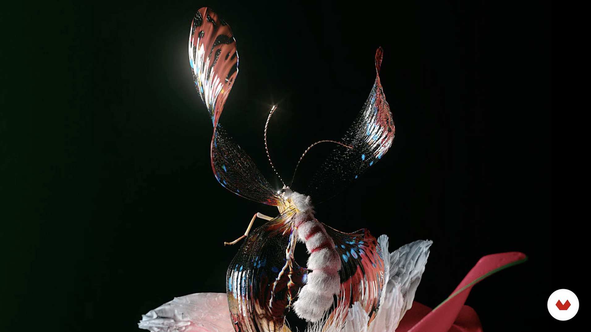 C4D教程-学习制作抽象创意人像三维模型动画 Abstract Portrait Animation with Cinema 4D