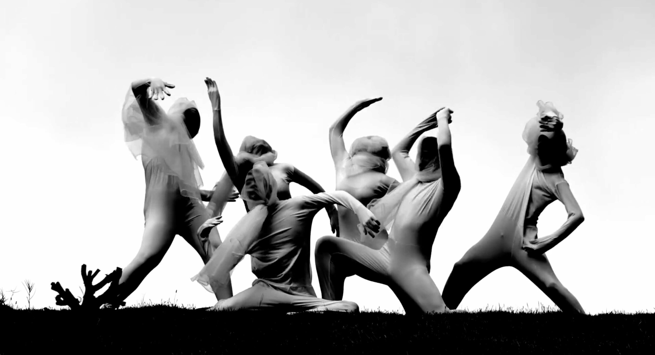 FALLING｜2023米兰时尚电影节最佳新人导演最佳摄影