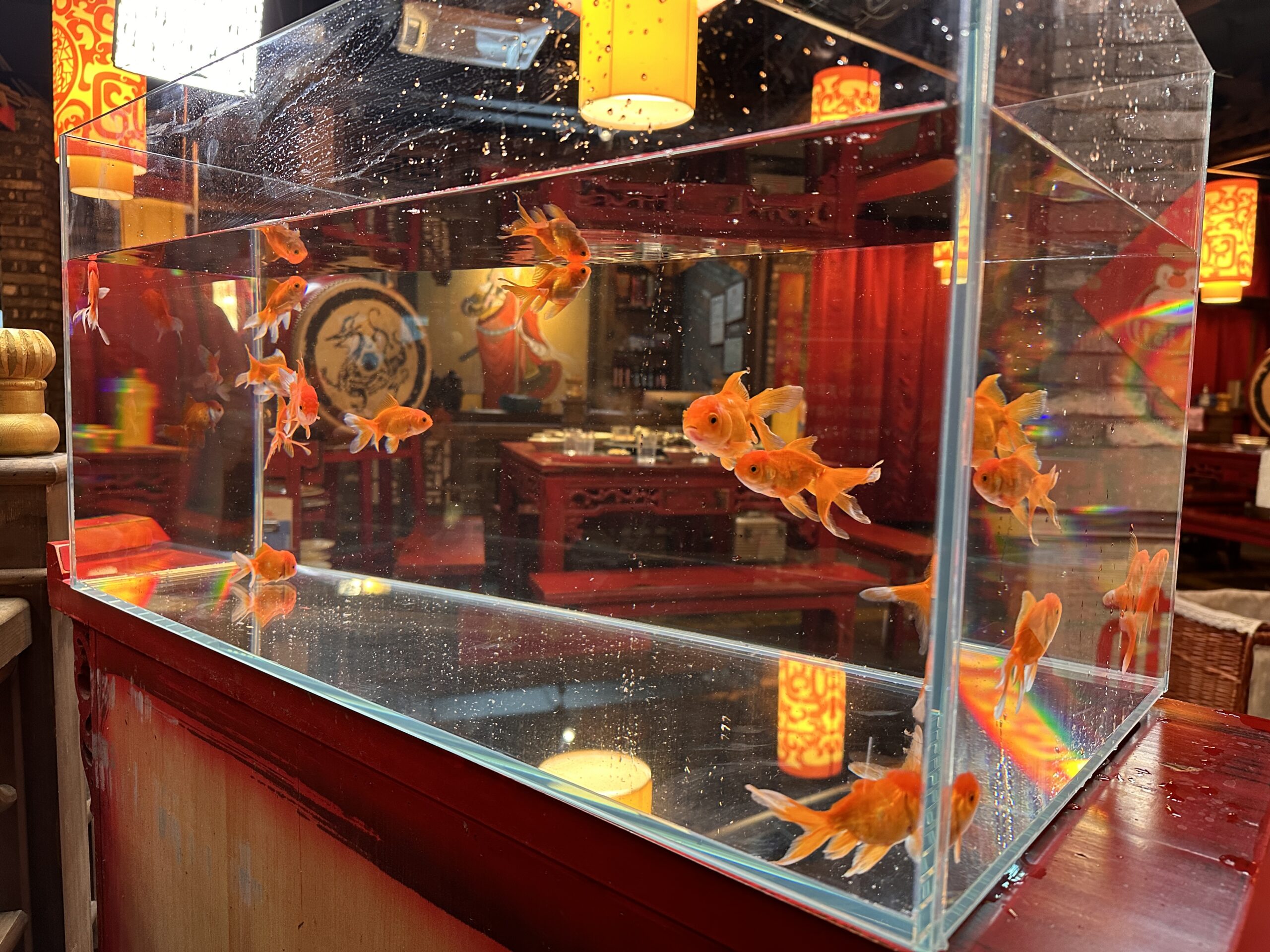 炫彩新年-建筑特效&实景动画