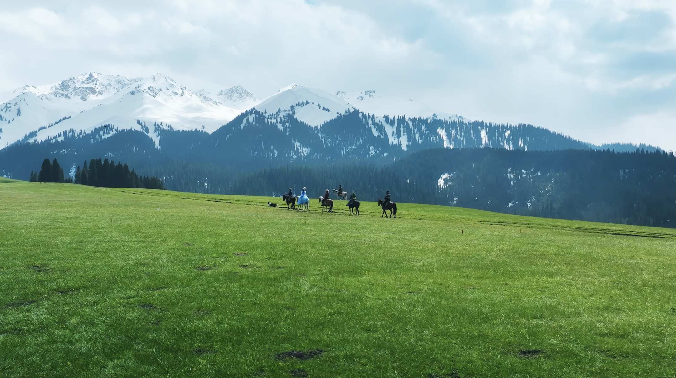 新疆伊犁草原雪山风景