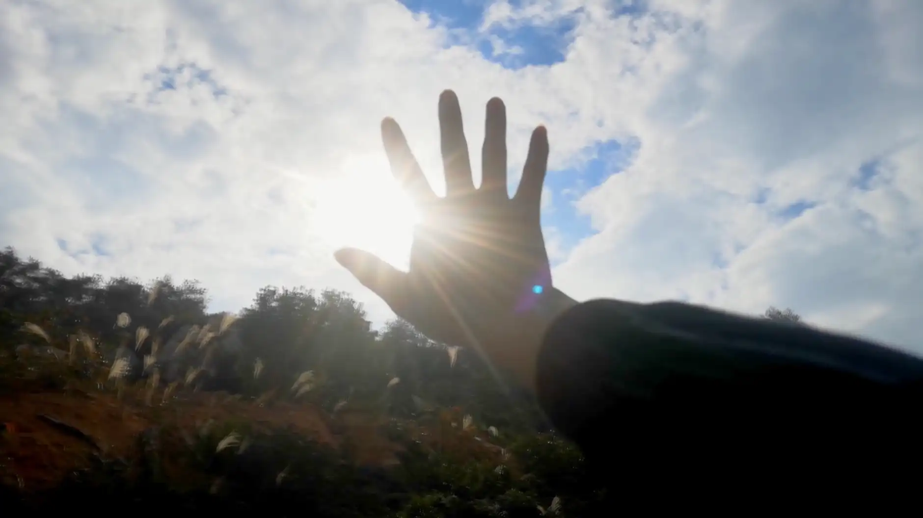 铁塔剪影延时逆光变电站意像工作