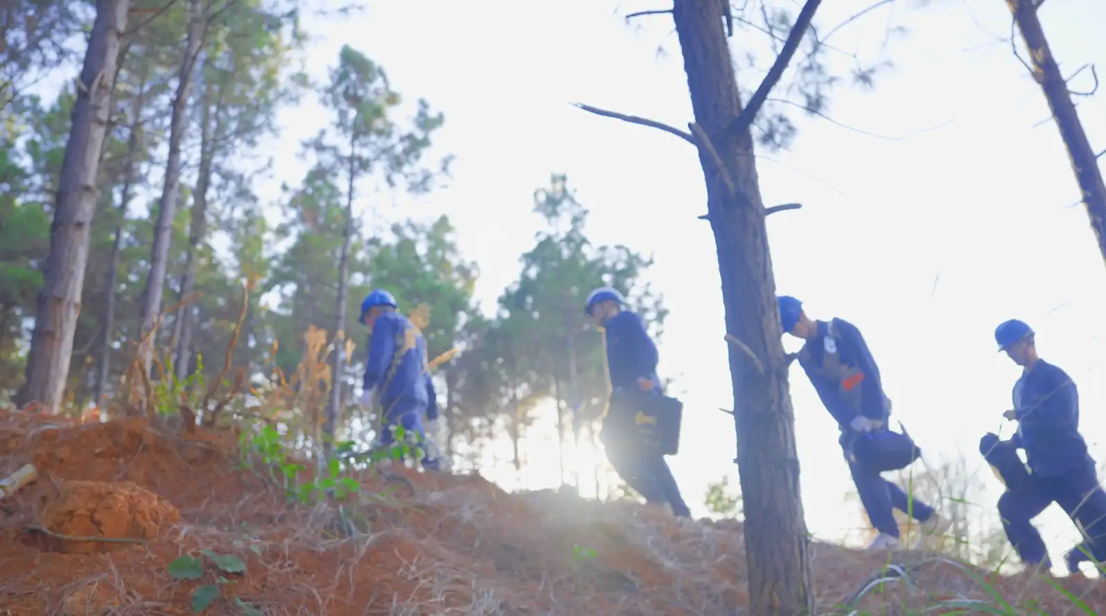 电网意向性镜头电网巡线电网电塔
