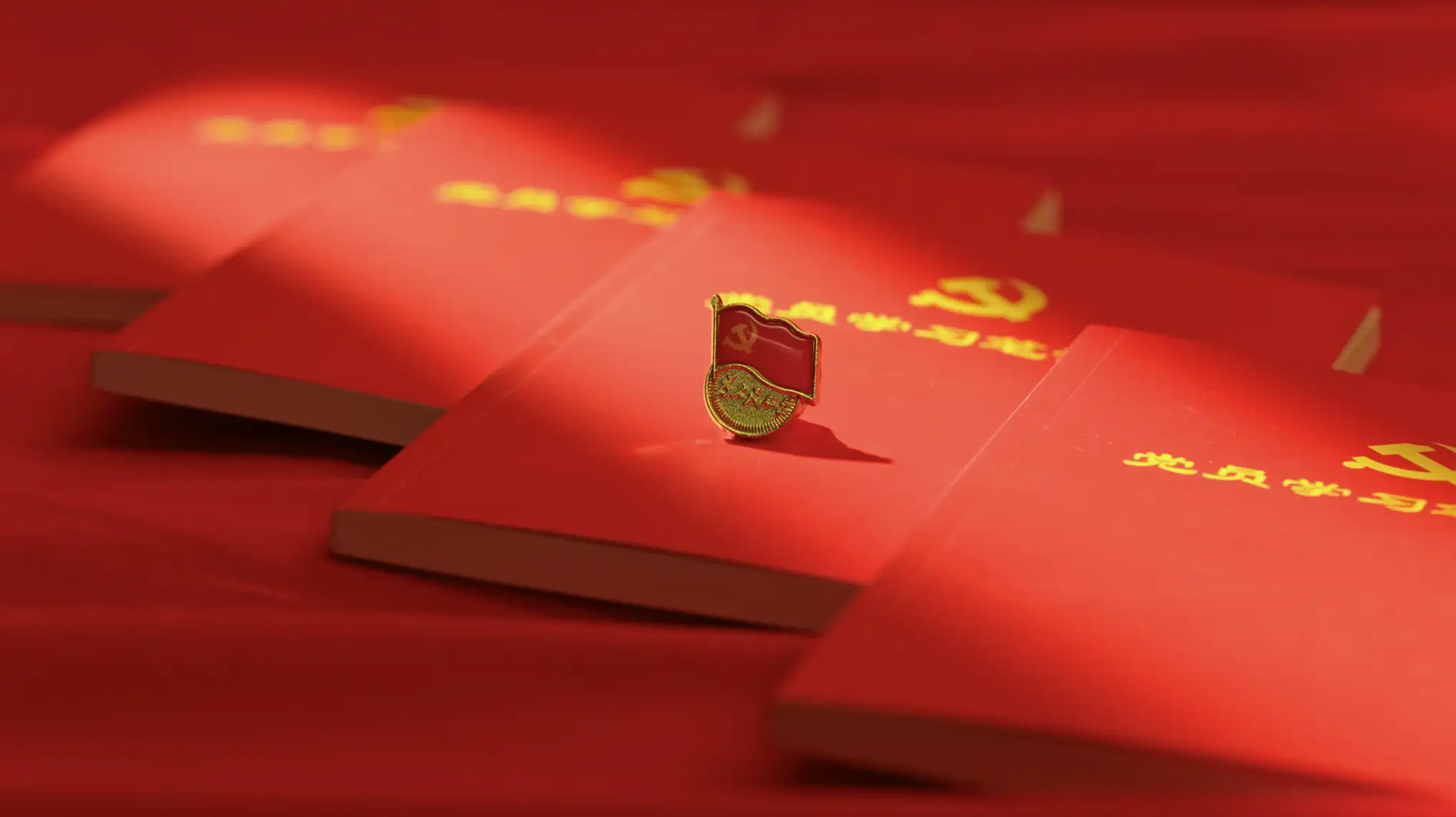 党员宣誓入党申请章程