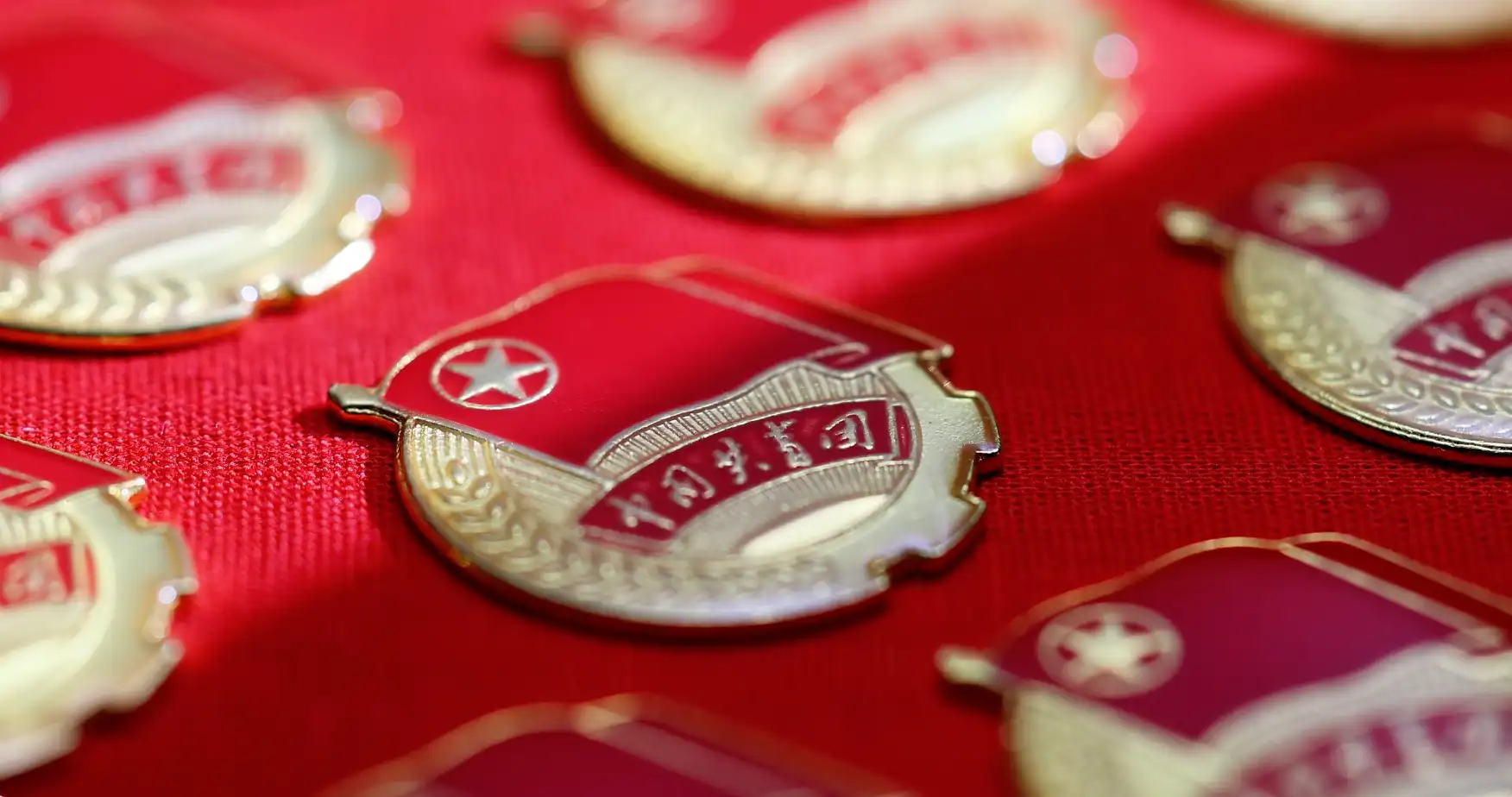 五四青年节团员入团宣誓共青团团徽