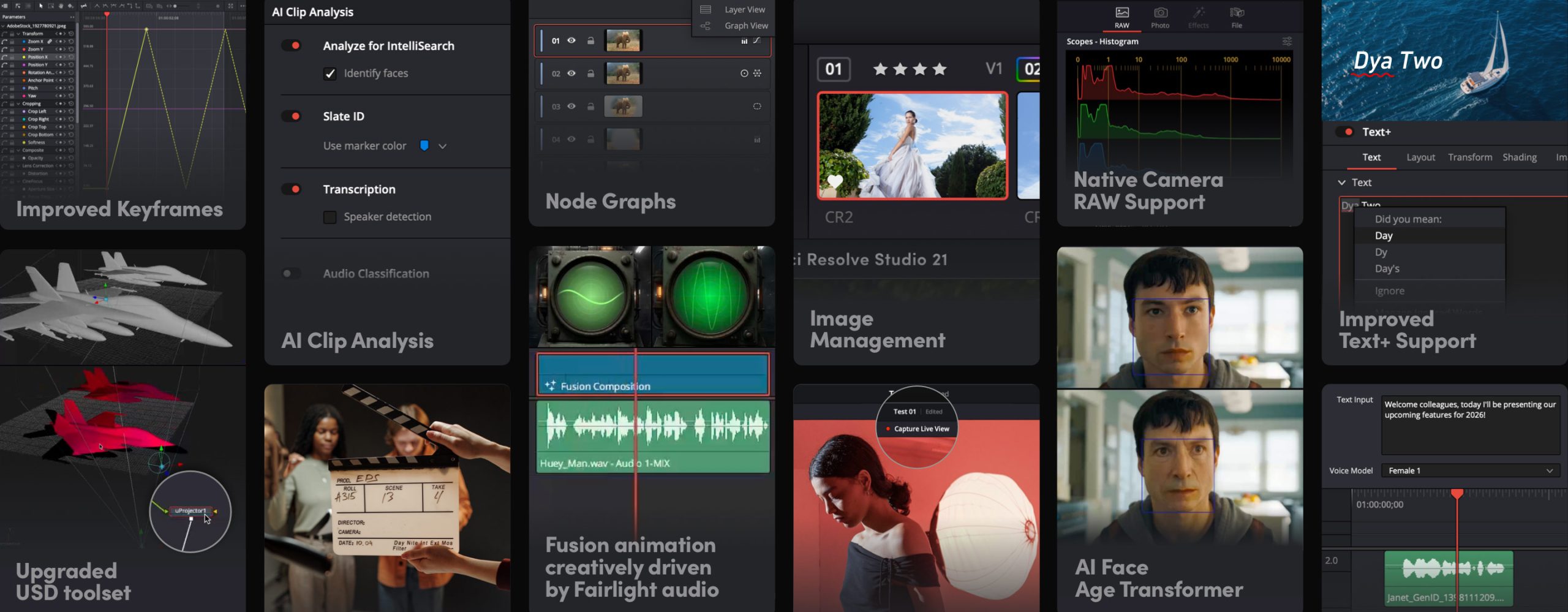 达芬奇21 DaVinci Resolve 21
